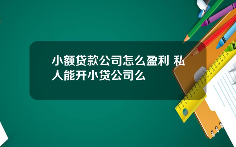 小额贷款公司怎么盈利 私人能开小贷公司么